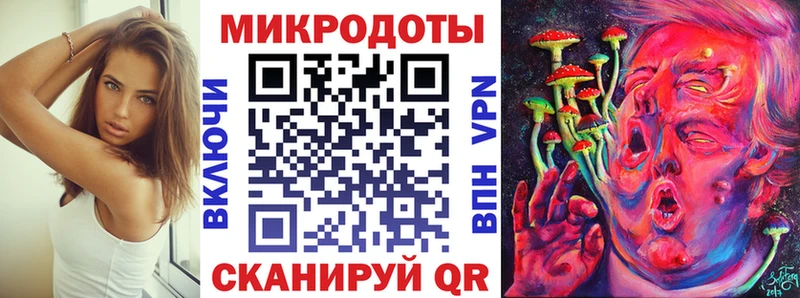 что такое   Невинномысск  Псилоцибиновые грибы Psilocybine cubensis 